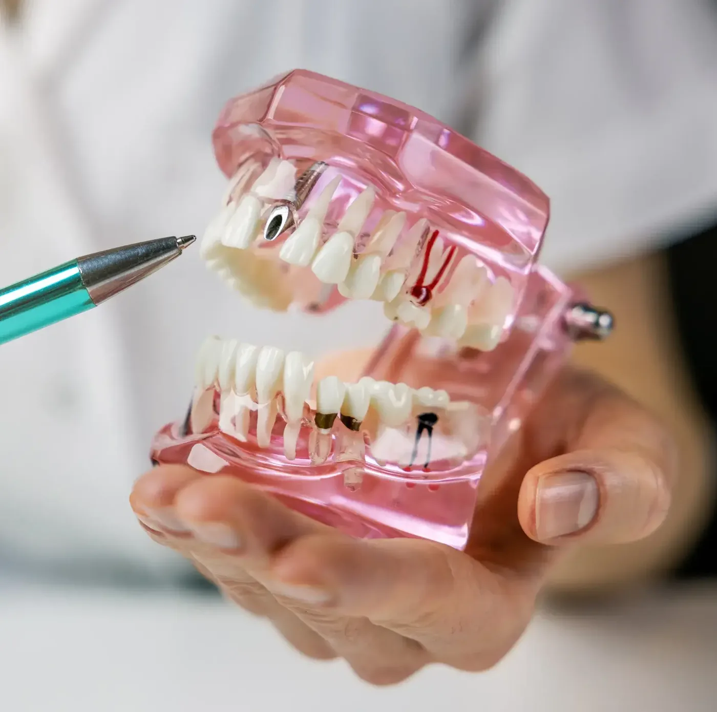 Comfortable, modern root canal treatment experience
